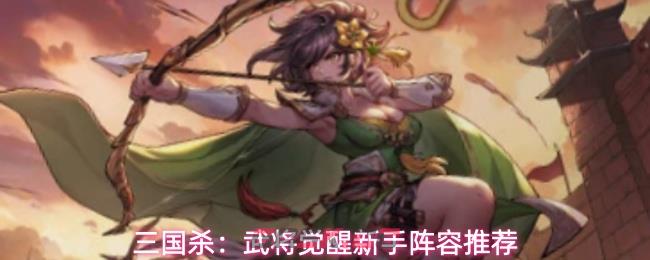 三国杀：武将觉醒新手阵容推荐-第1张-手游攻略-GASK
