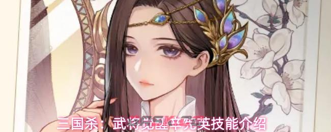 三国杀：武将觉醒辛宪英技能介绍-第1张-手游攻略-GASK