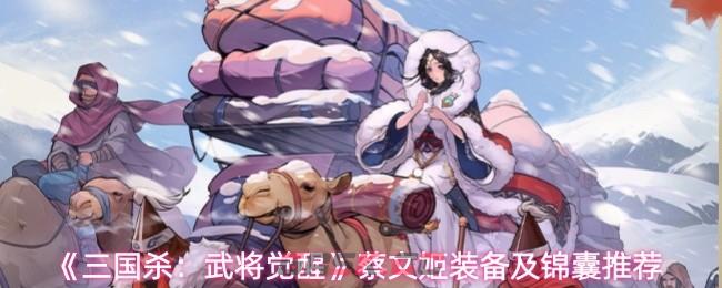 《三国杀：武将觉醒》蔡文姬装备及锦囊推荐-第1张-手游攻略-GASK