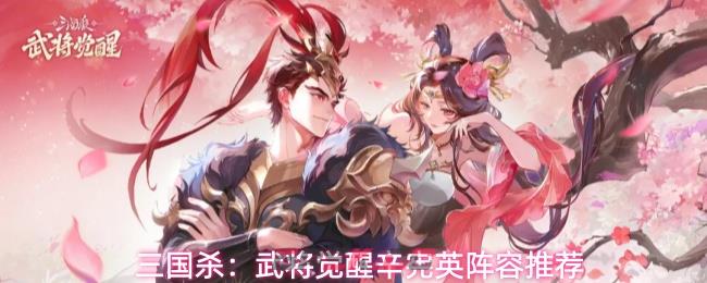 三国杀：武将觉醒辛宪英阵容推荐-第1张-手游攻略-GASK
