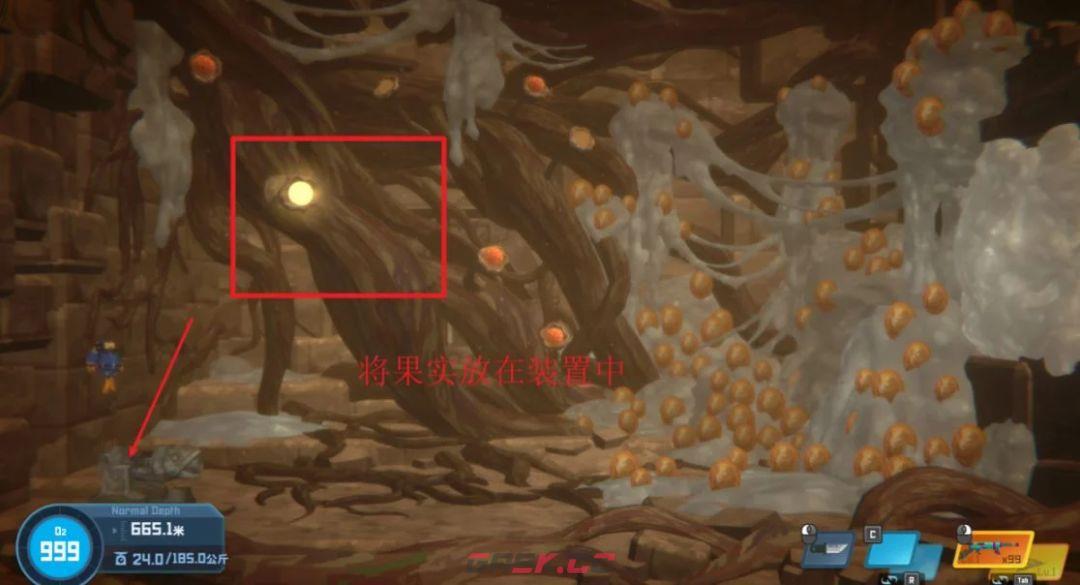 潜水员戴夫第七章超详细通关攻略-第8张-手游攻略-GASK