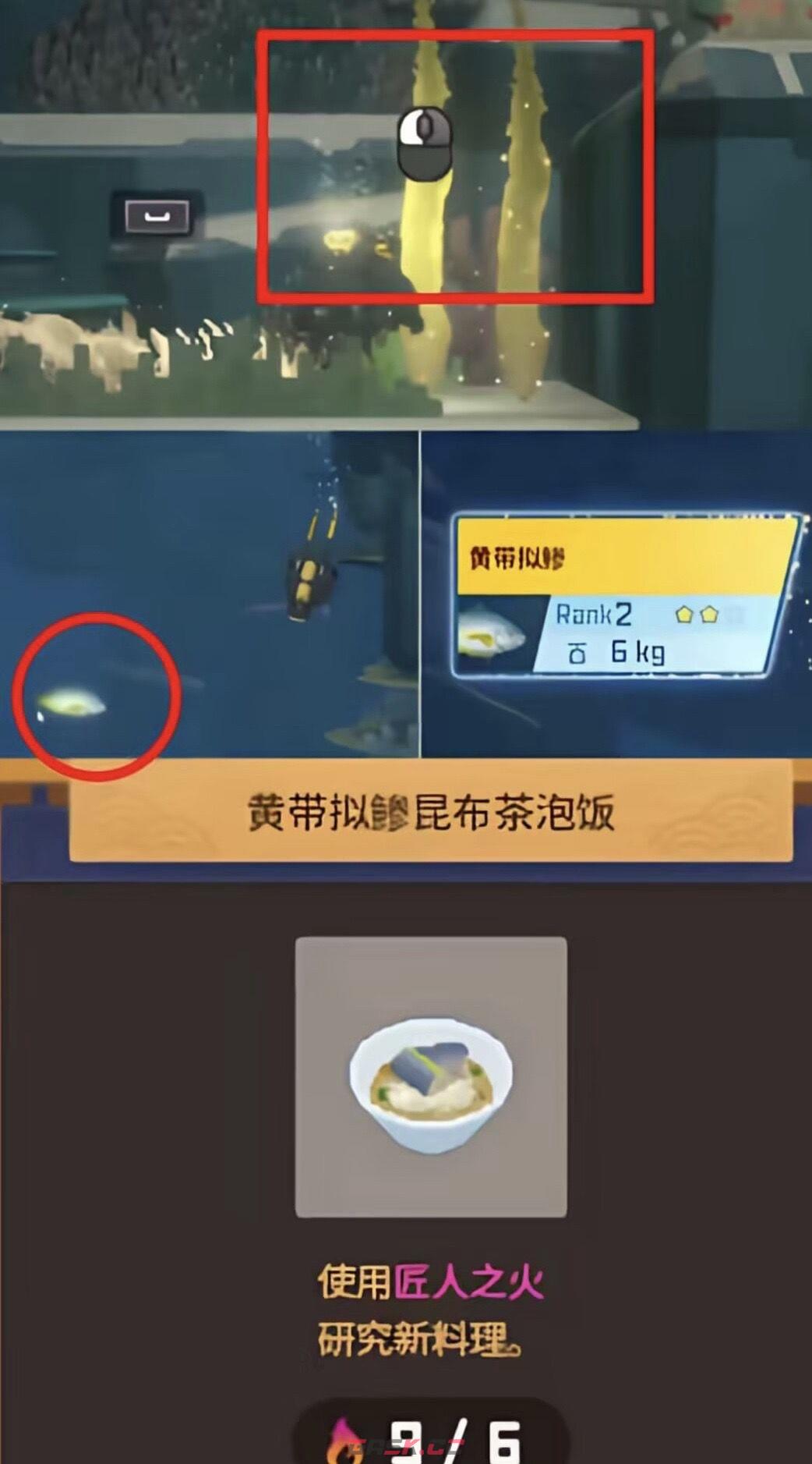 潜水员戴夫第二章详细攻略-第9张-手游攻略-GASK