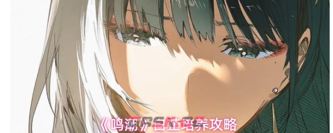 《鸣潮》白芷培养攻略