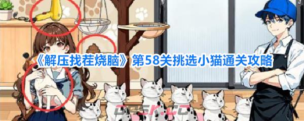 《解压找茬烧脑》第58关挑选小猫通关攻略-第1张-手游攻略-GASK