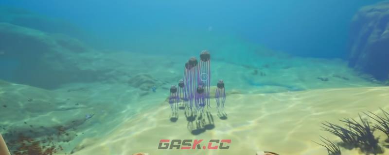 《深海迷航2：异星水域》死腐水母包裹获得方法介绍-第1张-单机攻略-GASK