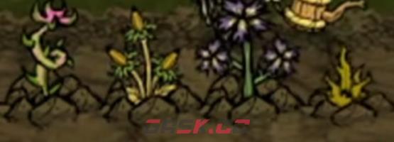 《饥困荒野》种植农作物配比攻略-第3张-手游攻略-GASK