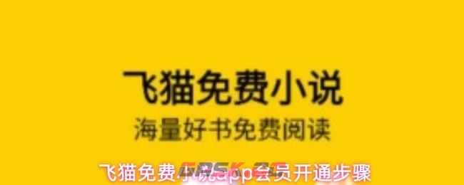 飞猫免费小说app会员开通步骤-第1张-手游攻略-GASK