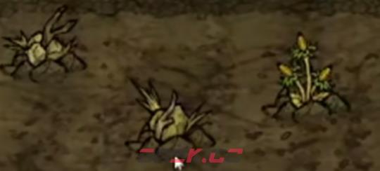 《饥困荒野》种植农作物配比攻略-第4张-手游攻略-GASK