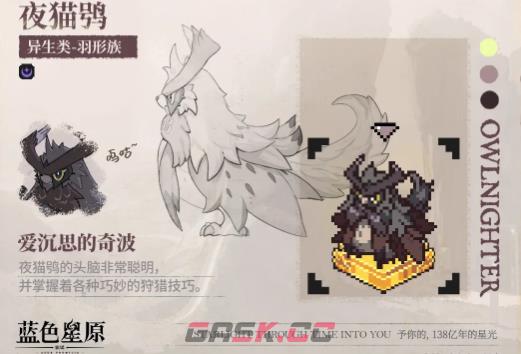 《蓝色星原：旅谣》夜猫鸮介绍-第5张-手游攻略-GASK