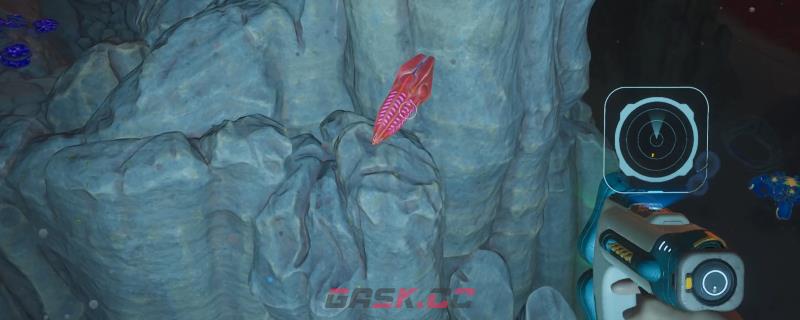 《深海迷航2：异星水域》生物实验室特殊生物位置分享-第1张-单机攻略-GASK