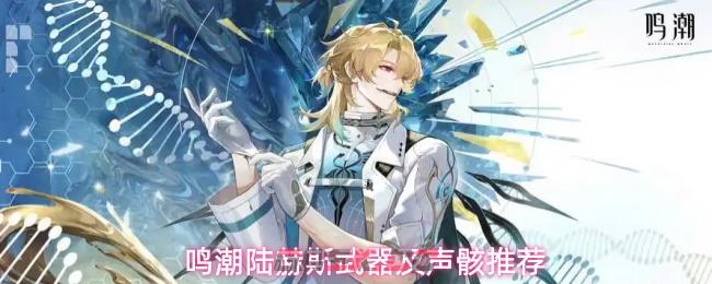 鸣潮陆赫斯武器及声骸推荐