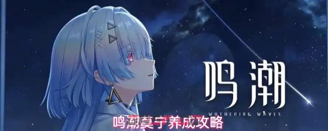 鸣潮莫宁养成攻略-第1张-手游攻略-GASK