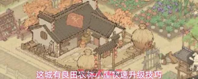 这城有良田农林小屋快速升级技巧-第1张-手游攻略-GASK