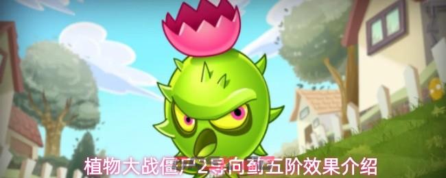 植物大战僵尸2导向蓟五阶效果介绍
