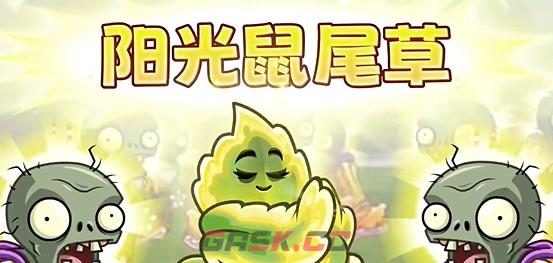 植物大战僵尸2新植物-阳光鼠尾草-第2张-手游攻略-GASK