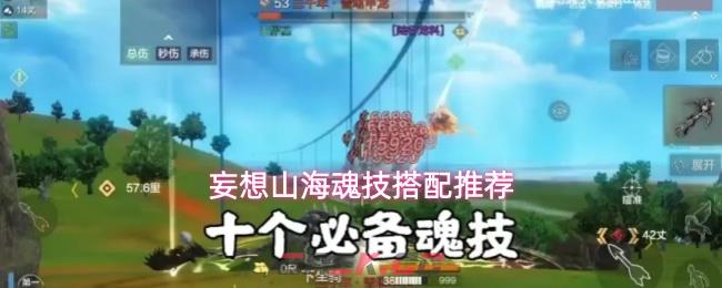 妄想山海魂技搭配推荐