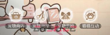 代号：大女主宠物系统介绍-第2张-手游攻略-GASK