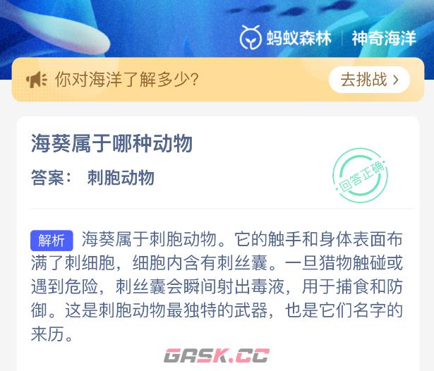 海葵属于哪种动物-第2张-手游攻略-GASK