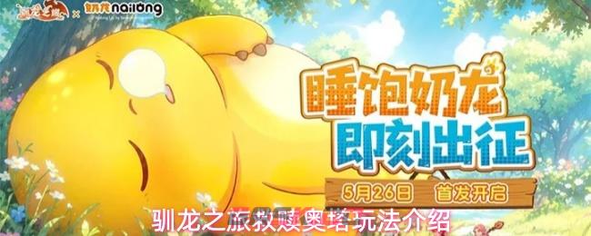 驯龙之旅救赎奥塔玩法介绍