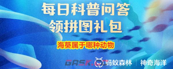 海葵属于哪种动物
