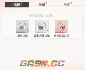 代号：大女主宠物系统介绍-第16张-手游攻略-GASK