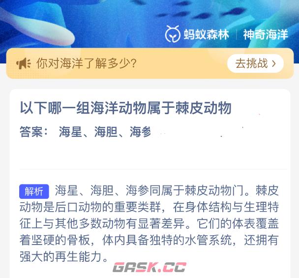 以下哪一组海洋动物属于棘皮动物-第2张-手游攻略-GASK