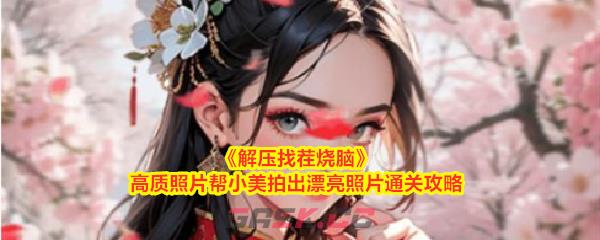 《解压找茬烧脑》高质照片帮小美拍出漂亮照片通关攻略-第1张-手游攻略-GASK