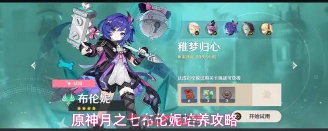 原神月之七布伦妮培养攻略