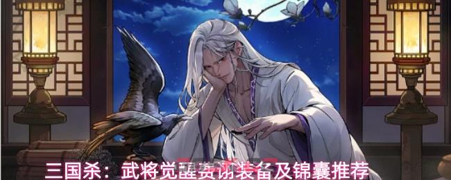 三国杀：武将觉醒费诩装备及锦囊推荐-第1张-手游攻略-GASK