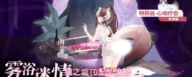 猫之城T0配队攻略
