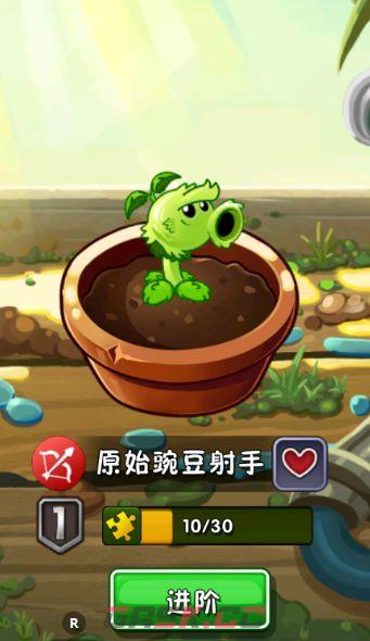 植物大战僵尸2平民前期培养强度植物推荐-第3张-手游攻略-GASK
