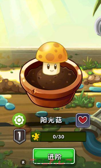 植物大战僵尸2金卡优先级培养推荐-第3张-手游攻略-GASK