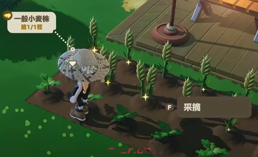 《星布谷地》禾夏星系vs塔法星系选择推荐-第6张-手游攻略-GASK
