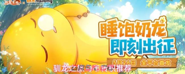 驯龙之旅乌韦转职推荐