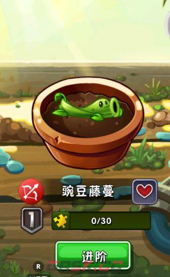 植物大战僵尸2优先升五阶氪金植物盘点-第3张-手游攻略-GASK