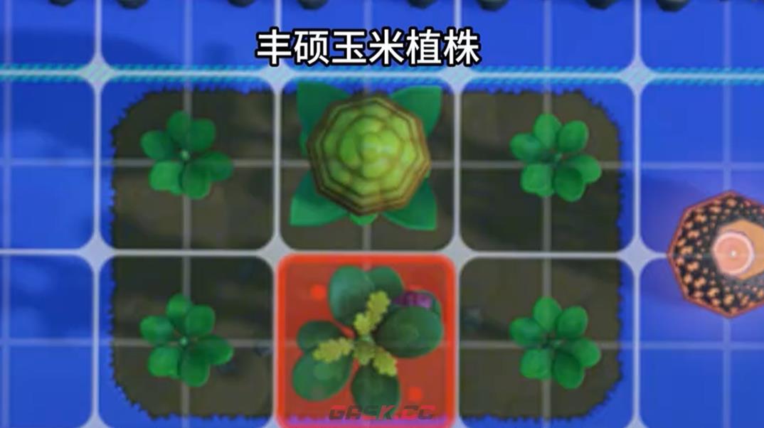 《星布谷地》混种培育攻略-第4张-手游攻略-GASK