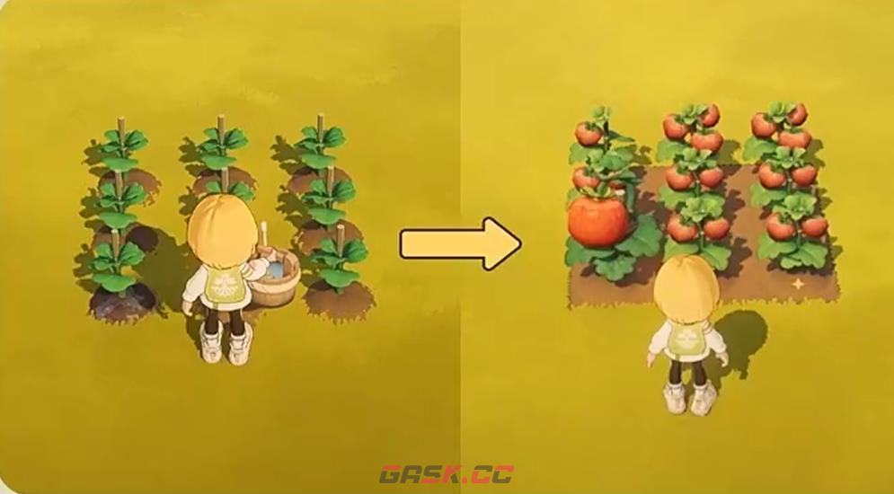 《星布谷地》收菜攻略-第5张-手游攻略-GASK