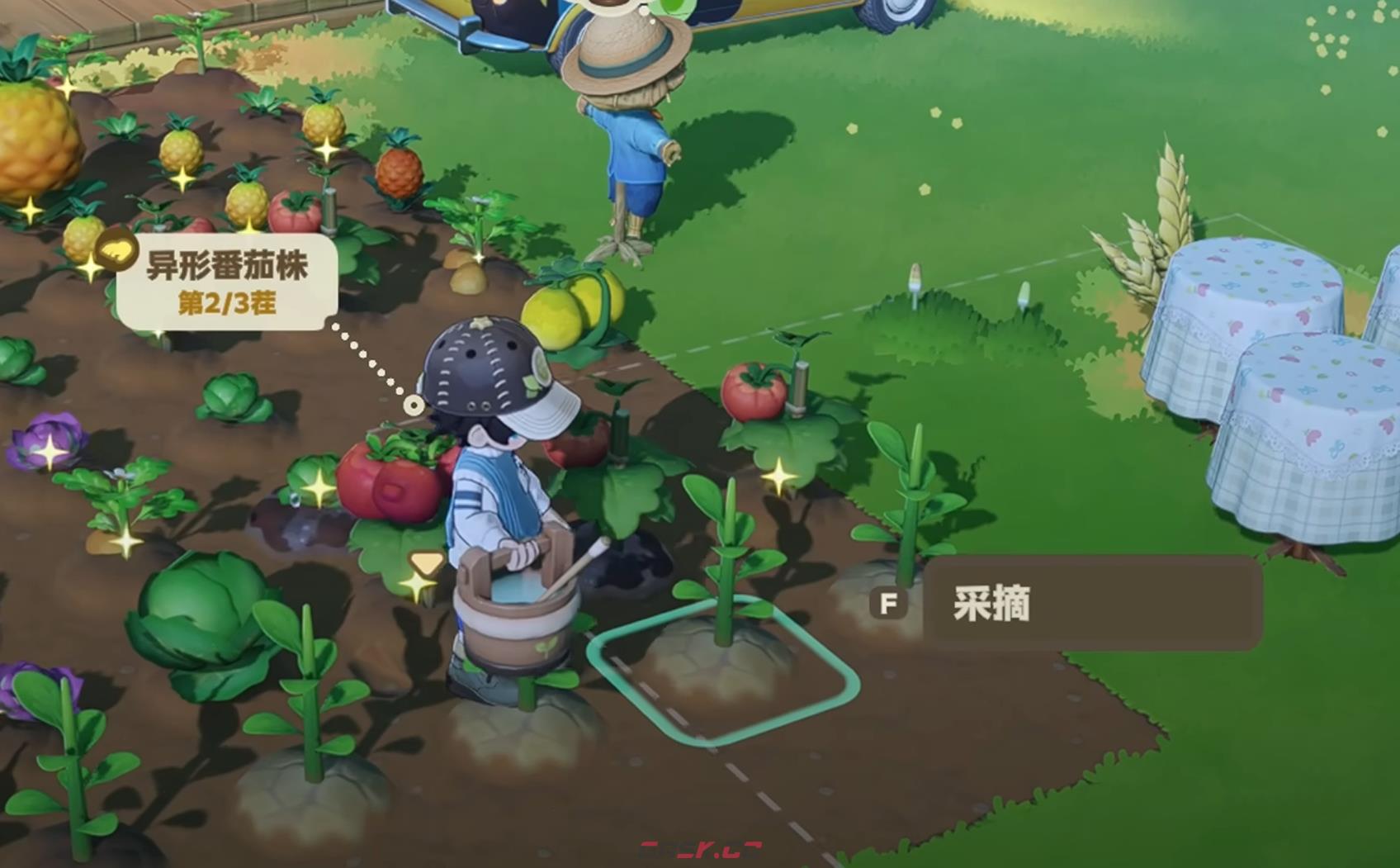 《星布谷地》收菜攻略-第7张-手游攻略-GASK