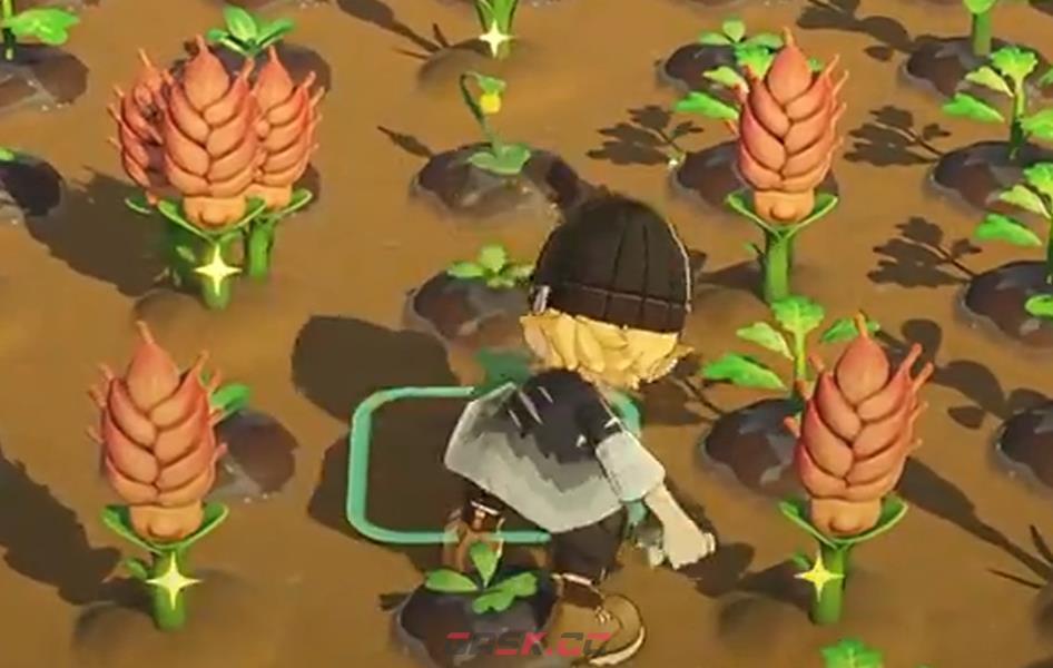《星布谷地》变异作物种植攻略-第5张-手游攻略-GASK