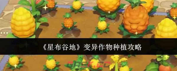 《星布谷地》变异作物种植攻略