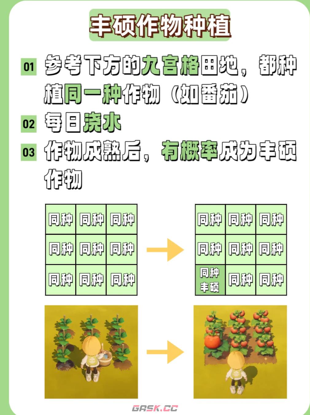 《星布谷地》梦幻果王种植方法-第4张-手游攻略-GASK
