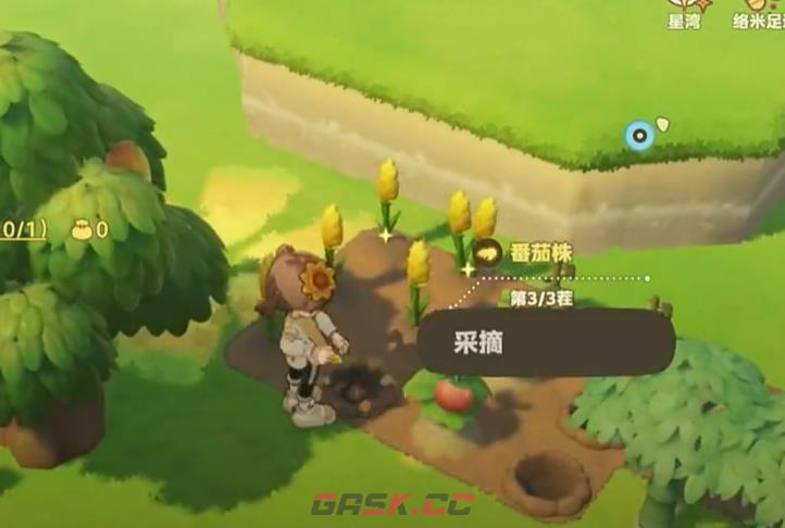 《星布谷地》初始星系选择攻略-第6张-手游攻略-GASK