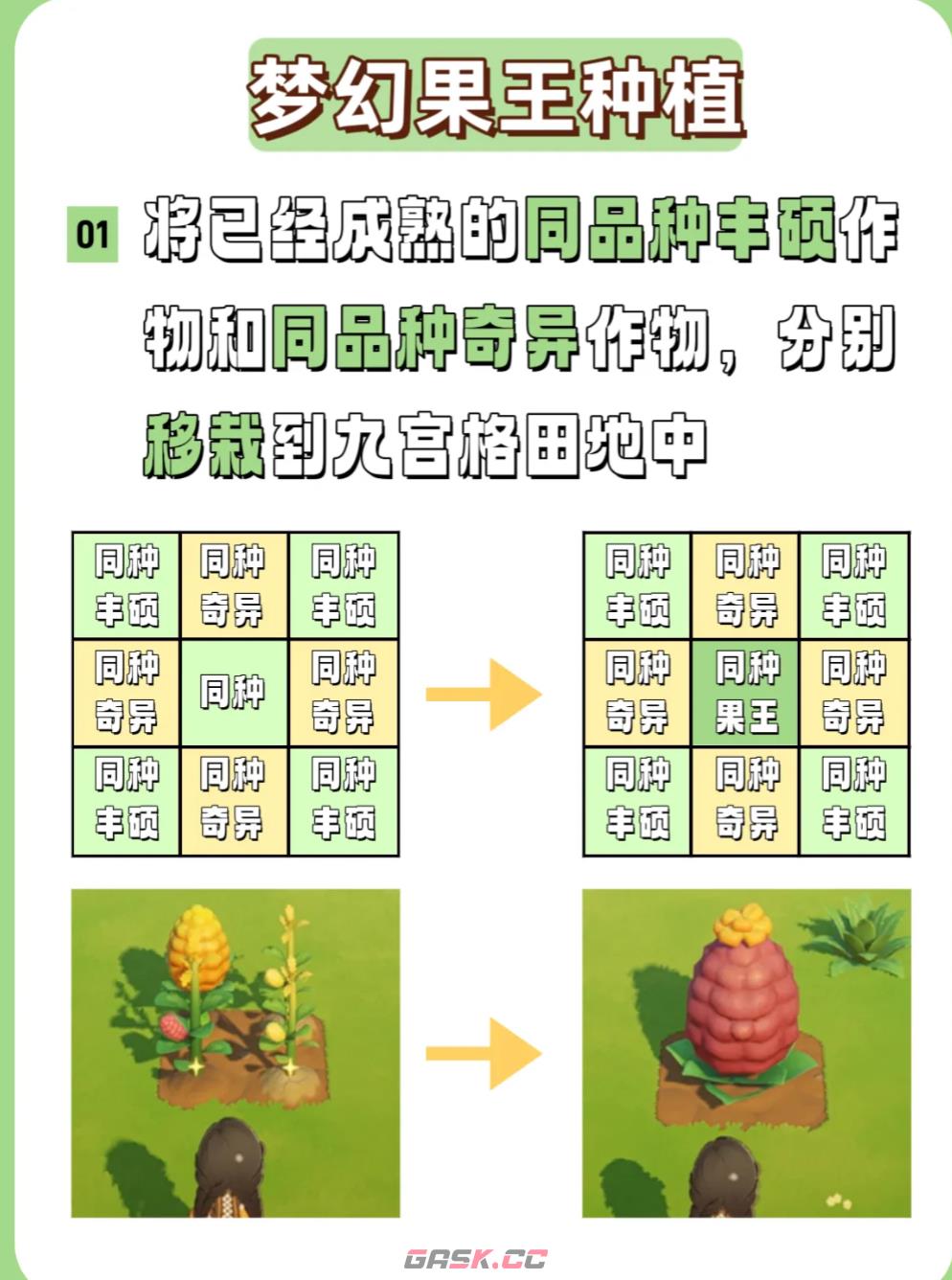 《星布谷地》梦幻果王种植方法-第7张-手游攻略-GASK