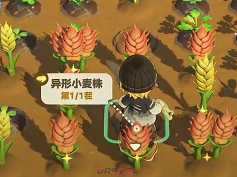 《星布谷地》变异作物种植攻略-第4张-手游攻略-GASK