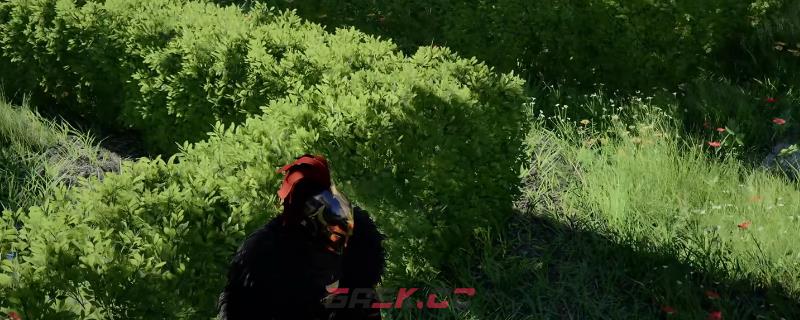 《红色沙漠》小兔子宠物获得方法介绍-第1张-单机攻略-GASK