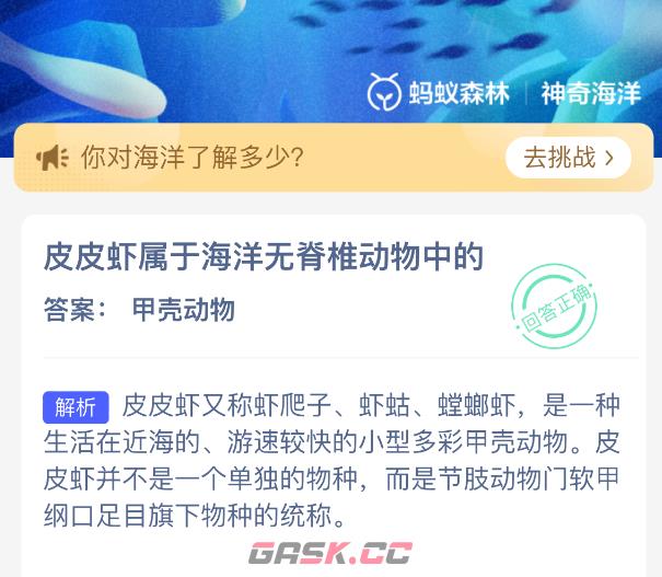 皮皮虾属于海洋无脊椎动物中的-第2张-手游攻略-GASK