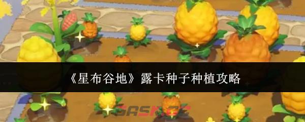 《星布谷地》露卡种子种植攻略-第1张-手游攻略-GASK