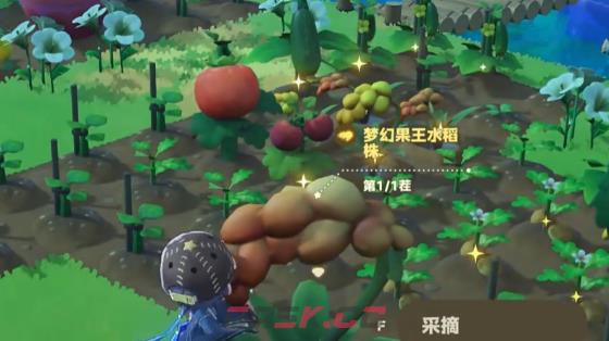 《星布谷地》露卡种子种植攻略-第5张-手游攻略-GASK