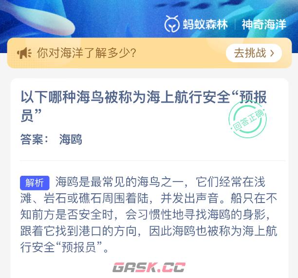 以下哪种海鸟被称为海上航行安全颈报员-第2张-手游攻略-GASK