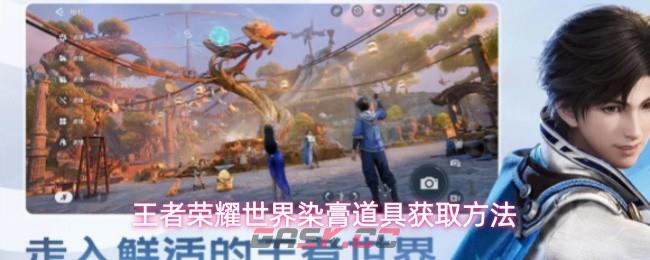 王者荣耀世界染膏道具获取方法